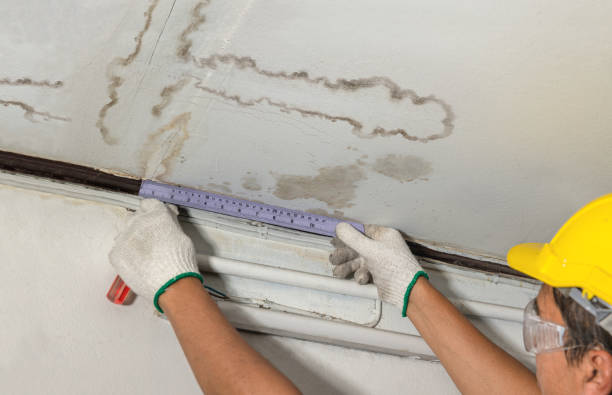Reliable Water Damage contractor in White, SD by Water Damage Irwin